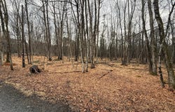 Masters Trail, Albrightsville, PA 18210