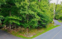 Decker Road, Lehman Twp, PA 18324
