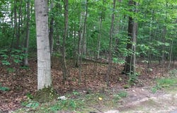 19 Beech Knoll, Bellaire, MI 49615