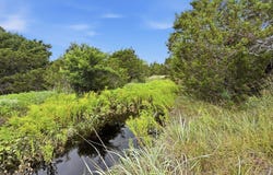 PR 42101 lot: 97 Ph 6, Evant, TX 76525