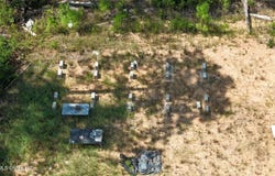 Sycamore, Carriere, MS 39426