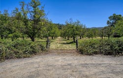1286 Pitney Lane, Upper Lake, CA 95485