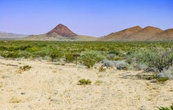 300 LTM Rd, Terlingua, TX 79852