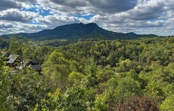1352 Timberwolf Way, Sevierville, TN 37876