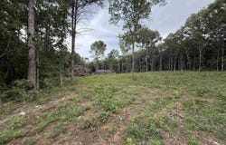 55 MOUNTAIN BROW DRIVE lot: 1, ONEONTA, AL 35121