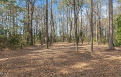 16 Winfield Lane, Pinetown, NC 27865