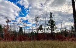 401 Main Road, Burlington, ME 04417