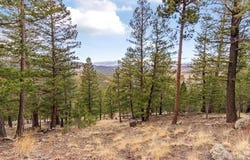 Upper Moss Rock Rd, Golden, CO 80401
