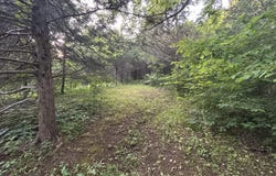Carlos Road, Sneedville, TN 37869