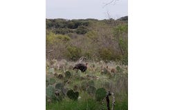 1061 Valley View Spur, Menard, TX 76859