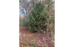 700 Keowee Trail, Seneca, SC 29672