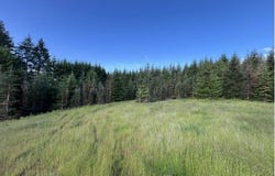 NW LODGE Rd, Banks, OR 97106