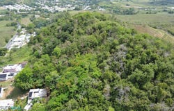 Humacao, Humacao, PR 00791