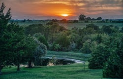 15484 Borgstedte Road, Washington, TX 77880