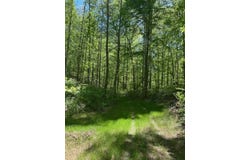 Greenbrier Rd, Breeding, KY 42715