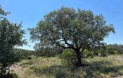 4120 Majestic Oaks Drive lot: 11, Christoval, TX 76935