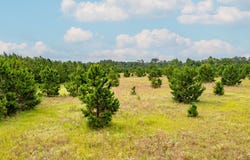 515 Coleman Rd, Fort Gaines, GA 39851