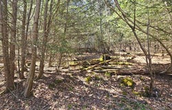 First Fork Rd., Sinnemahoning, PA 15861