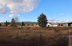1643 Ginney Way, McCall, ID 83638