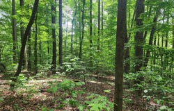 Trail Ridge Drive, Marion, NC 28752