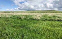 TBD WAGON BOX DR, Whitewood, SD 57793