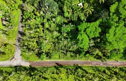FOREST RD, Pahoa, HI 96778