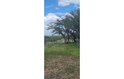 1192 Hillside Rd, Menard, TX 76859
