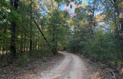 Skylark Road, Washburn, MO 65772