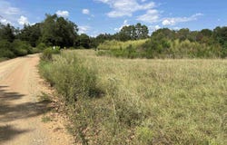 County Road 4489, Tenaha, TX 75974
