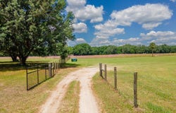 4381 NE 105TH PLACE, ANTHONY, FL 32617