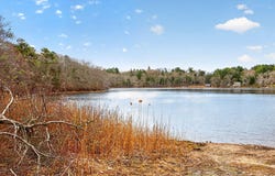 73 Pimlico Pond Road, Forestdale, MA 02644