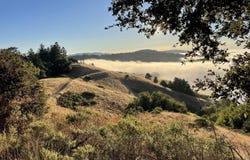 Mountain King RD, Lagunitas, CA 94938