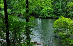 790 Free Bridge Rd, Ware Shoals, SC 29692
