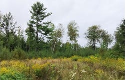 No. Rock 38th Road, Rock, MI 49880