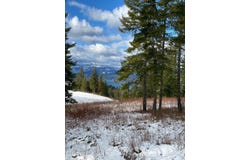 L4 B1 WAILEA Rd, Harrison, ID 83833
