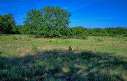 Fleming Street, St Jo, TX 76265