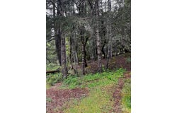 24403 Cypress Drive, Willits, CA 95490