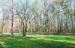 2568 Raymond Williams Road, Sturgis, MS 39769