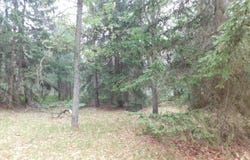 2906 E M-72, Grayling, MI 49738