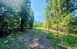 Newman Lane, Jefferson, SC 29718