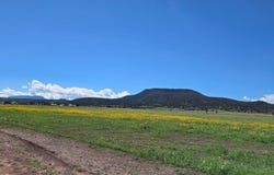 E Fleetwood Avenue, Springerville, AZ 85938