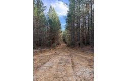 Mount Calvary Church Road, Louisville, MS 39339