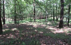 Vireton Rd, Krebs, OK 74554