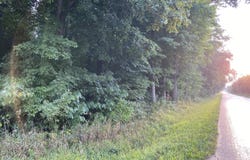 W Copeland Road, Bronson, MI 49028