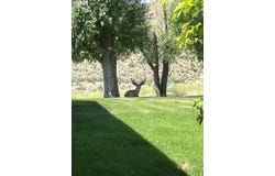68883 LOOP Dr, Hines, OR 97738