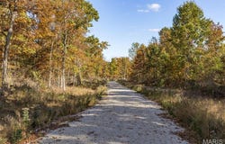 Thunder Ridge Road lot: 8, Richwoods, MO 63071