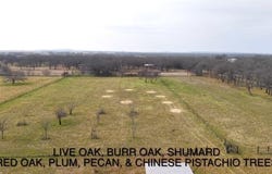Fm 4, Jacksboro, TX 76458
