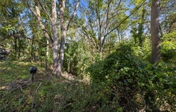 460 Pellett Road, Webster, NY 14580