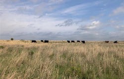 0041 E 4500 Road, Pawnee, OK 73061