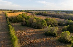 County Road 117, Elkhart, TX 75839